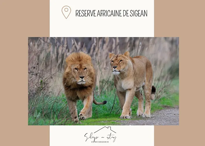 Διαμέρισμα Le Jardin Καρκασόν